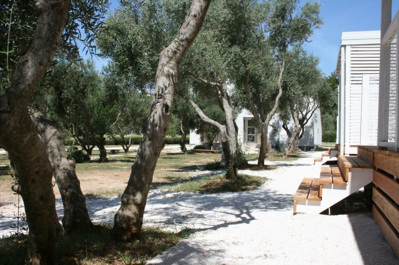 Mobile Homes Katinka, Starigrad Paklenica, Croatia Buitenkant foto