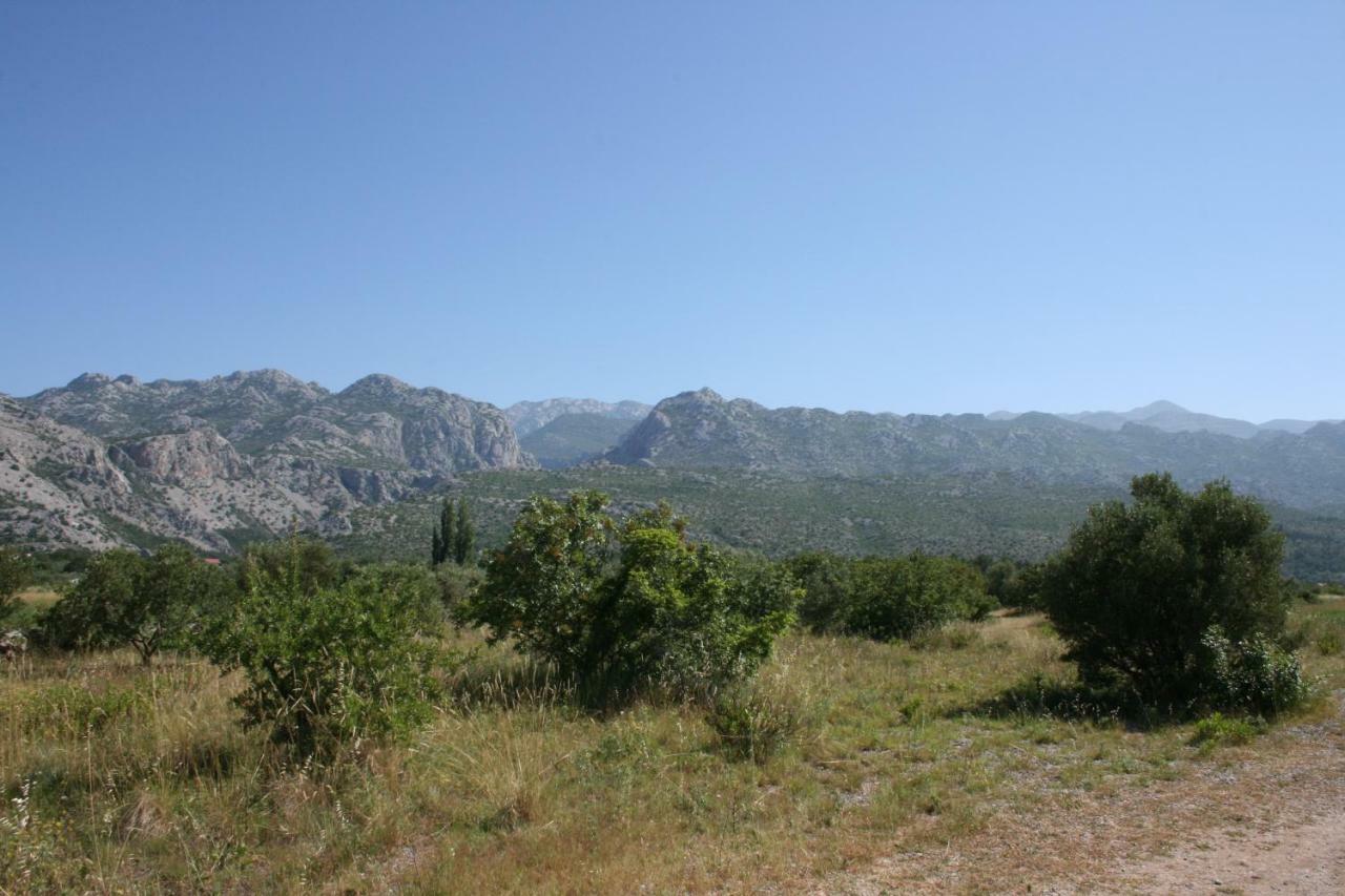 Mobile Homes Katinka, Starigrad Paklenica, Croatia Buitenkant foto